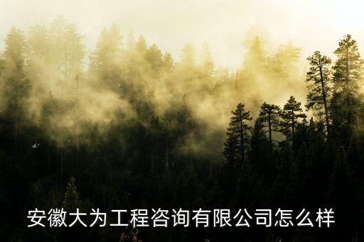 天津市榮達工程咨詢有限公司，安徽大為工程咨詢有限公司怎么樣