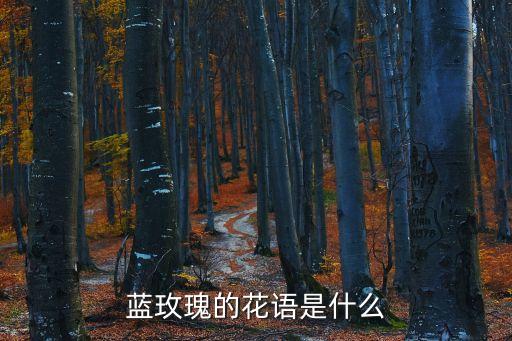 藍玫瑰花語，藍玫瑰的花語是什么意思