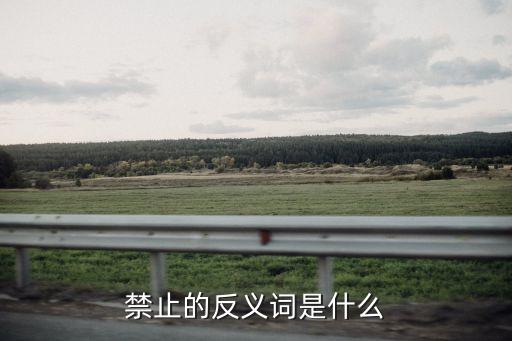 禁止的反義詞是什么