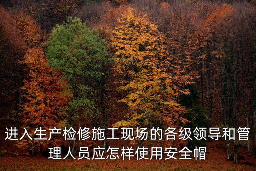 戴安全帽，進入生產檢修施工現場的各級領導和管理人員應怎樣使用安全帽