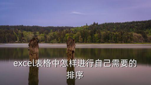 excel表格中怎樣進行自己需要的排序