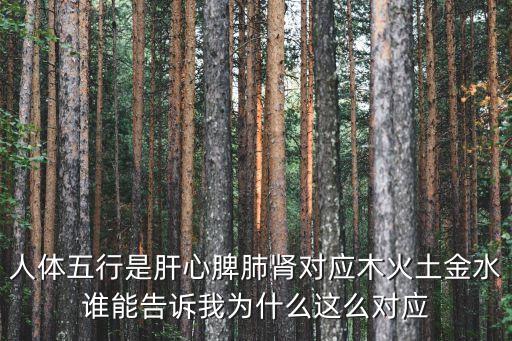 人體五行是肝心脾肺腎對應木火土金水誰能告訴我為什么這么對應
