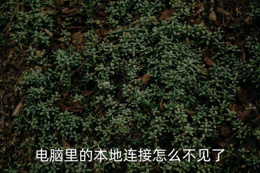 電腦里的本地連接怎么不見了