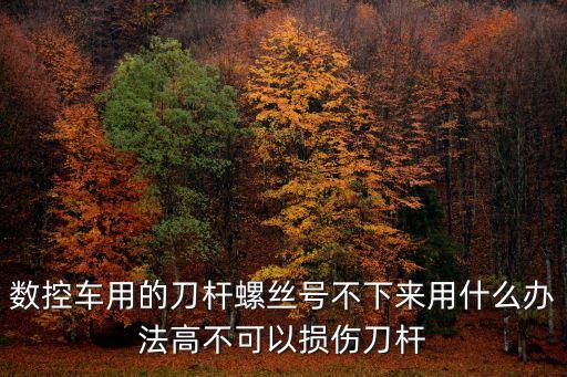 數(shù)控車用的刀桿螺絲號不下來用什么辦法高不可以損傷刀桿