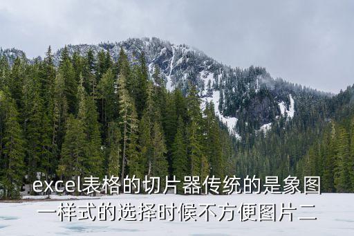 excel表格的切片器傳統的是象圖一樣式的選擇時候不方便圖片二