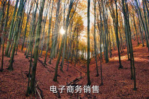 電子商務(wù)銷售