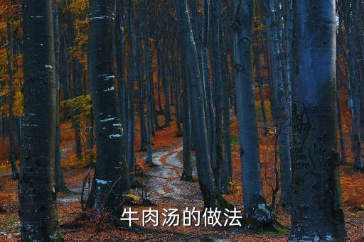 牛肉湯的做法
