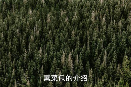 素菜包的介紹