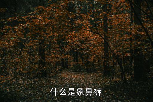 犢鼻褲，什么是象鼻褲