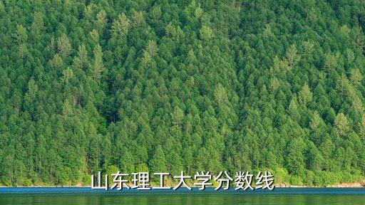 山東理工大學分數線，山東理工大的分數線今年多少文科