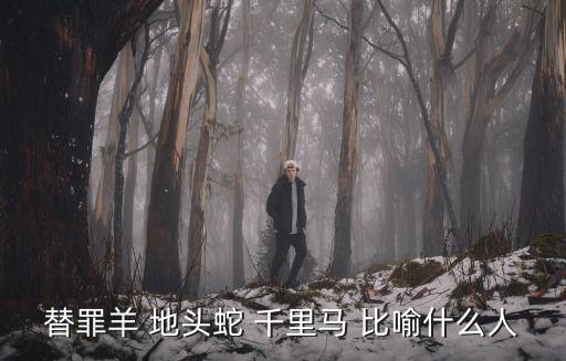 替罪羊 地頭蛇 千里馬 比喻什么人