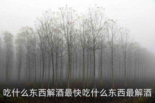 吃什么東西解酒最快吃什么東西最解酒