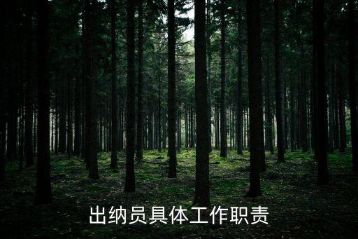 出納工作職責，出納員具體工作職責