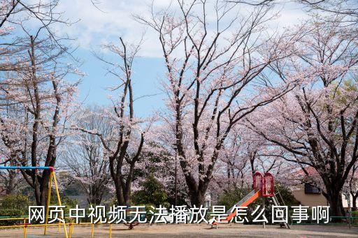 網頁中視頻無法播放是怎么回事啊