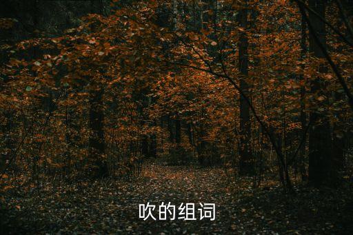 吹的組詞