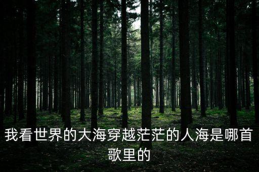 穿過茫茫人海，那個鳥告訴額我穿越了茫茫人海是哪首歌的歌詞