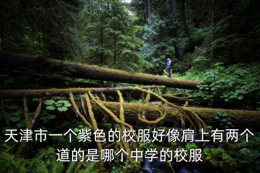 天津市一個紫色的校服好像肩上有兩個道的是哪個中學的校服