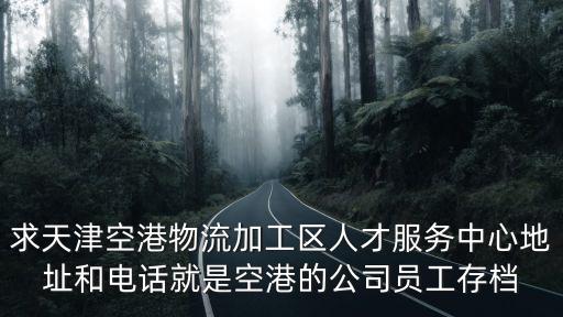 天津市空港個(gè)人存檔單位，公司是在天津空港注冊的請問我的檔案存在哪