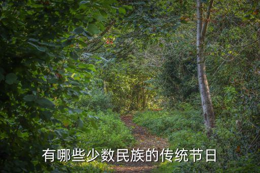 有哪些少數民族的傳統節日