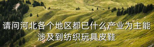 請(qǐng)問(wèn)河北各個(gè)地區(qū)都已什么產(chǎn)業(yè)為主能涉及到紡織玩具皮鞋