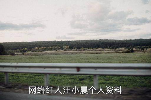 網(wǎng)絡(luò)紅人汪小晨個人資料