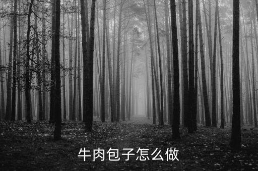 牛肉包子怎么做