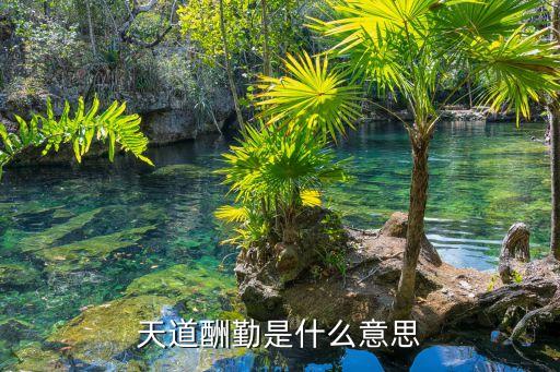 天道酬勤的意思，什么叫做天道酬勤