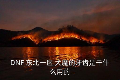 DNF 東北一區(qū) 犬魔的牙齒是干什么用的