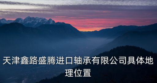 天津市東麗區(qū)金鐘河大街3699號(hào)，天津鑫路盛騰進(jìn)口軸承有限公司具體地理位置