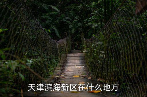 天津濱海新區在什么地方