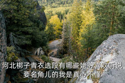 河北梆子青衣選段有哪些姥爺喜歡聽說要名角兒的我是真心不懂