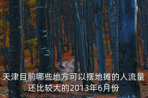 天津目前哪些地方可以擺地攤的人流量還比較大的2013年6月份