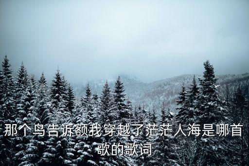 那個鳥告訴額我穿越了茫茫人海是哪首歌的歌詞