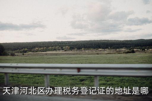 天津河北區(qū)辦理稅務(wù)登記證的地址是哪