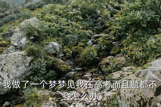 我做了一個夢夢見我在高考而且題都不會怎么辦