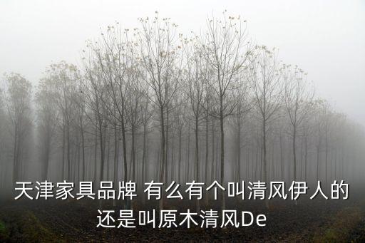 天津家具品牌 有么有個叫清風伊人的還是叫原木清風De