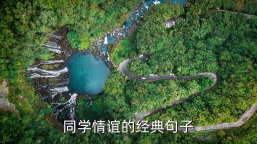 同學(xué)情誼的經(jīng)典句子，想找一些關(guān)于同學(xué)友誼的經(jīng)典評論和句子