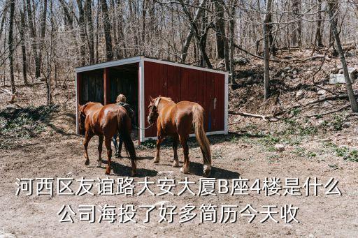 河西區友誼路大安大廈B座4樓是什么公司海投了好多簡歷今天收