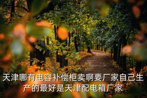 天津哪有電容補償柜賣啊要廠家自己生產的最好是天津配電箱廠家