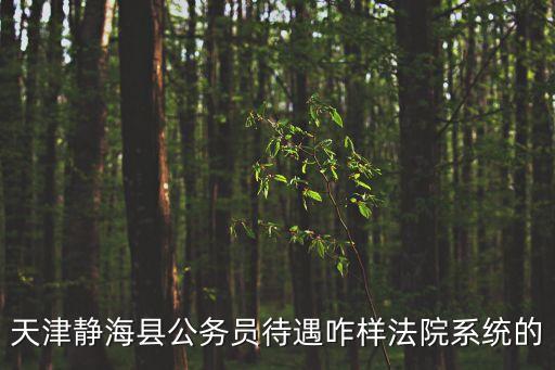 天津市靜海區總工會怎么樣，天津靜海縣公務員待遇咋樣法院系統的