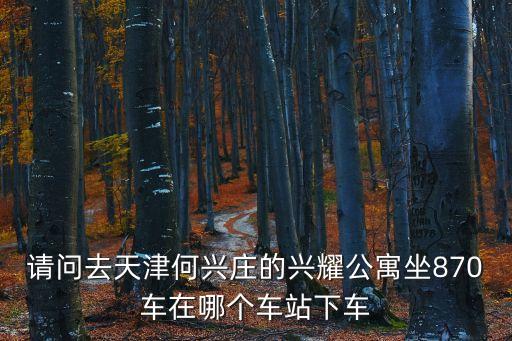 請問去天津何興莊的興耀公寓坐870車在哪個車站下車