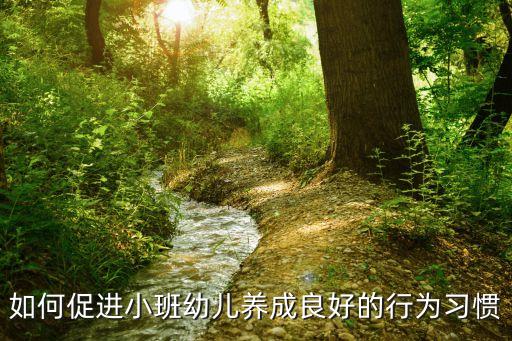 如何促進小班幼兒養成良好的行為習慣
