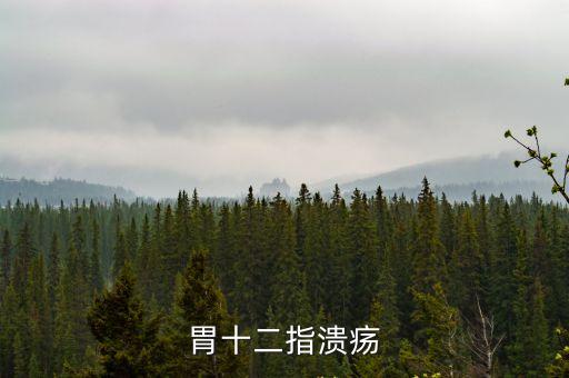 胃十二指潰瘍