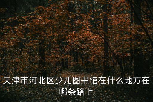 天津市河北區(qū)少兒圖書館在什么地方在哪條路上