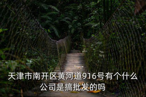 天津市南開區黃河道916號有個什么公司是搞批發的嗎