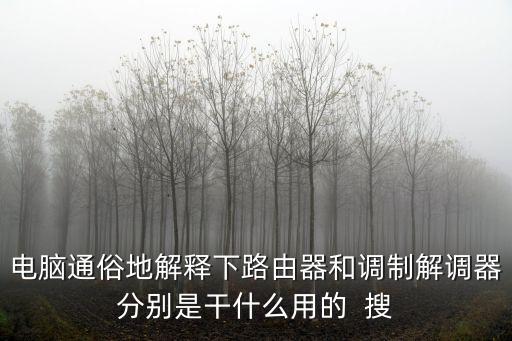電腦通俗地解釋下路由器和調制解調器分別是干什么用的  搜