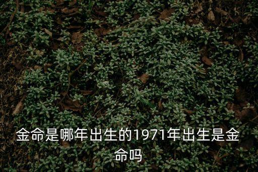 金命是哪年出生的，金命人是哪一年出生的