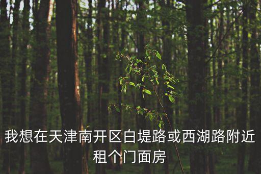 天津市南開區有門臉出租嗎，天津南開區還有門臉房不