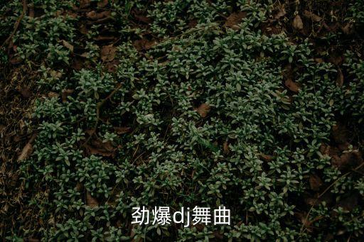 勁爆dj舞曲