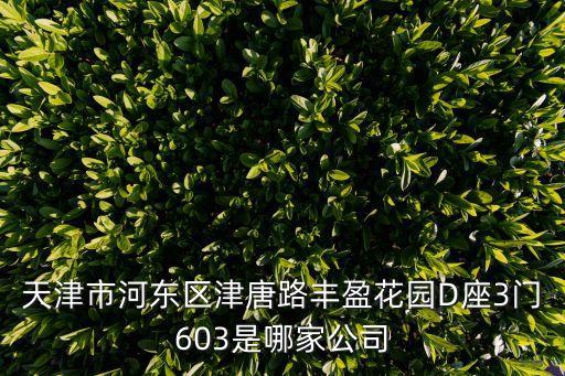 天津市河東區津唐路豐盈花園D座3門603是哪家公司